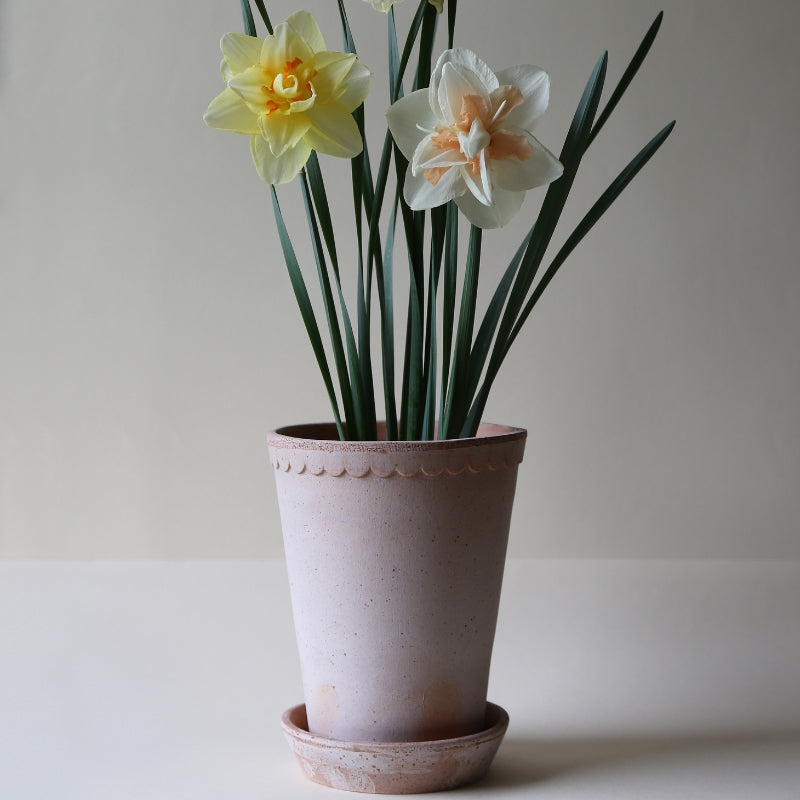Helena terracotta hoge pot