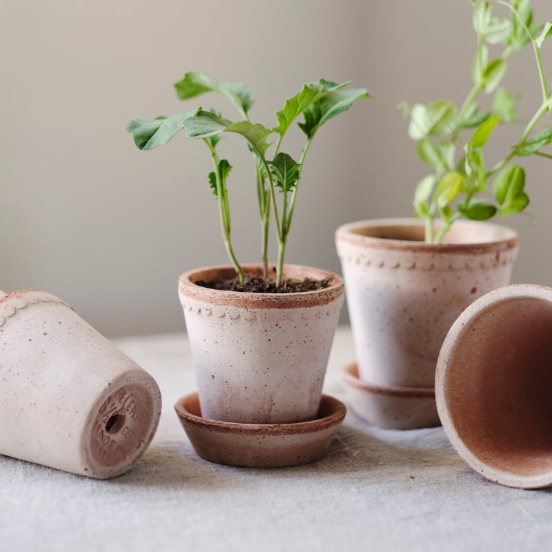 Helena terracotta hoge pot