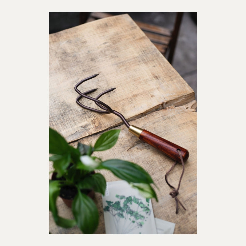 National Trust x Burgon & Ball cultivator