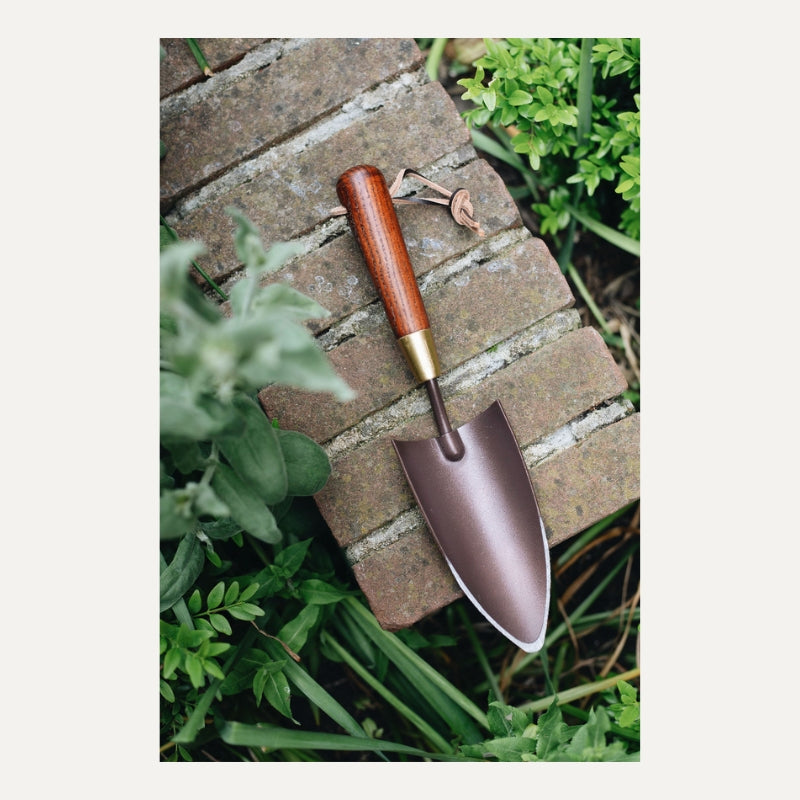 National Trust x Burgon & Ball verplantschopje