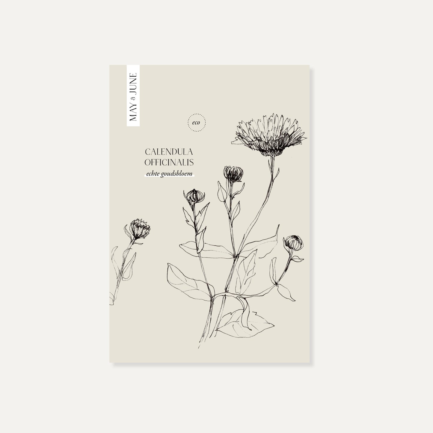 Calendula officinalis (goudsbloem) ECO