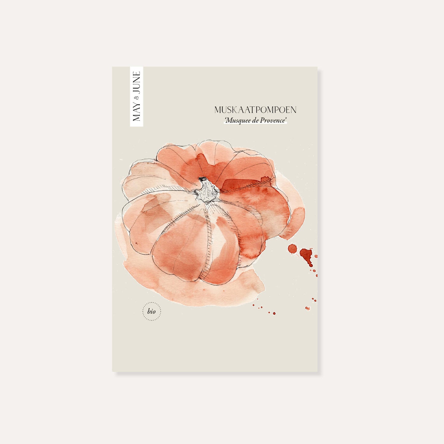 Pompoen 'Musquee de Provence' BIO