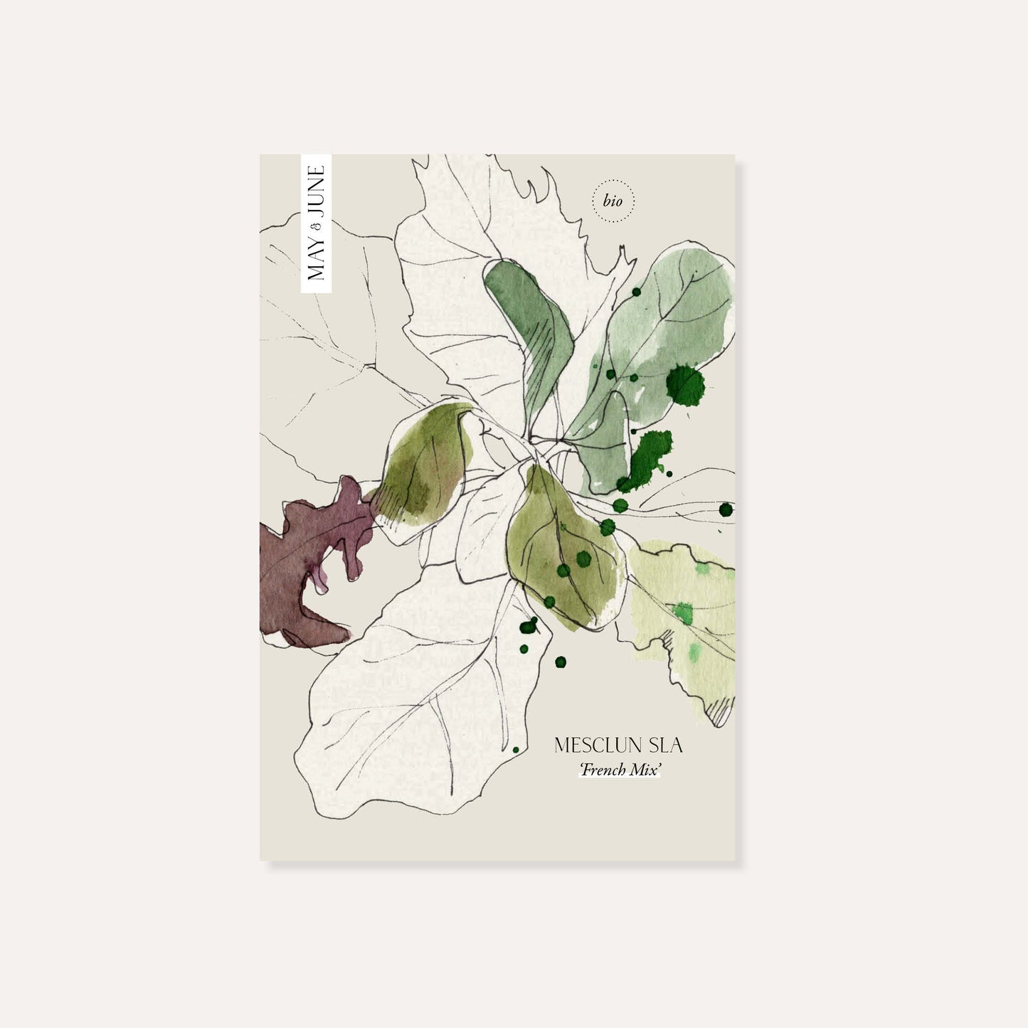 Mesclun sla 'French Mix' BIO