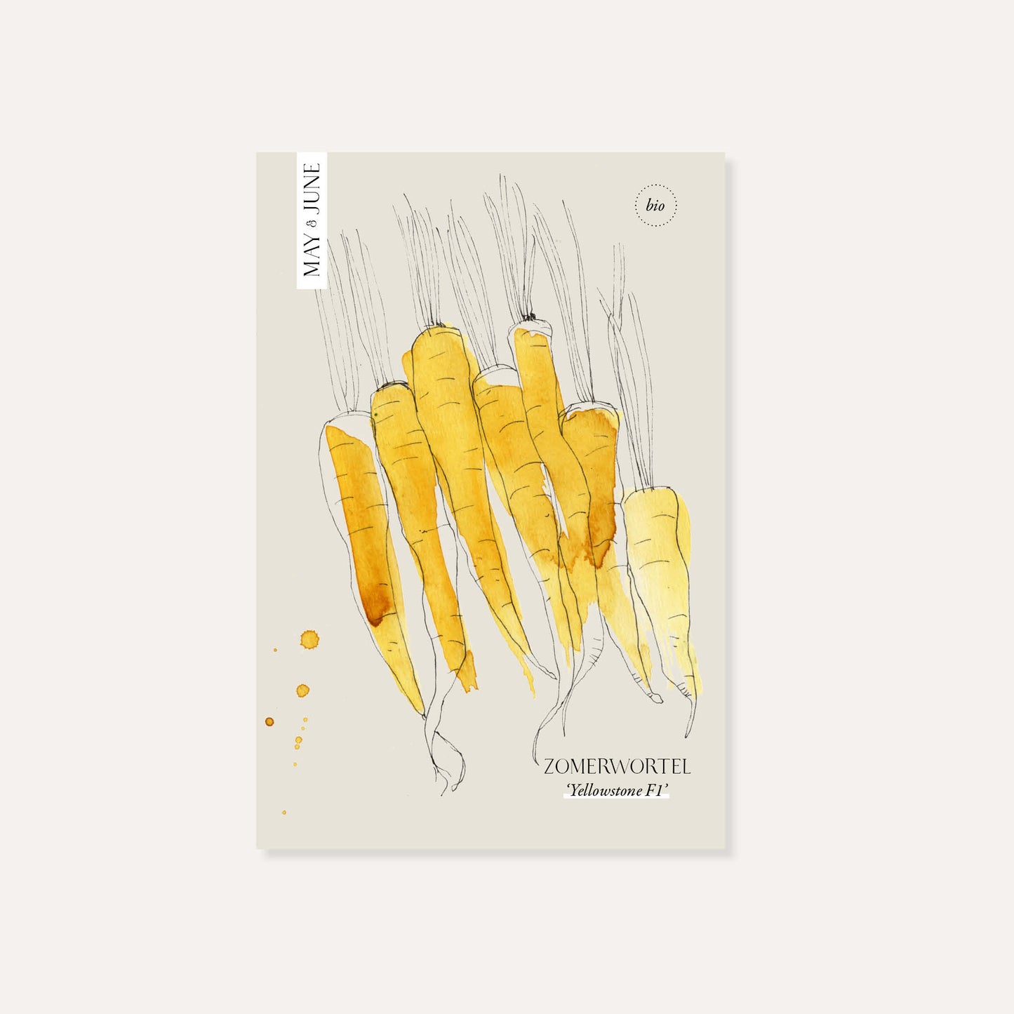 Zomerwortel 'Yellowstone F1' BIO