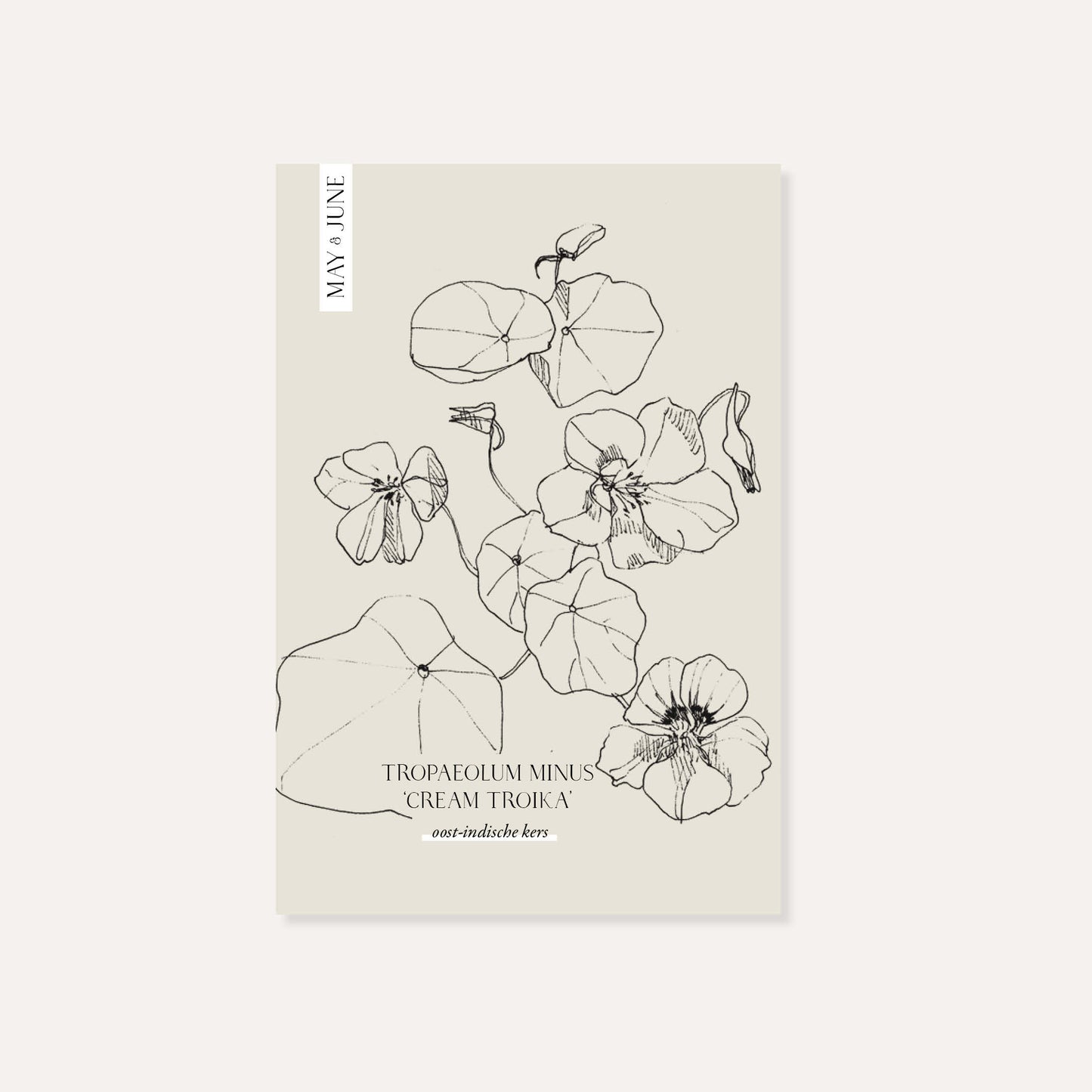 Tropaeolum minus 'Cream Troika' (Oost-Indische kers)