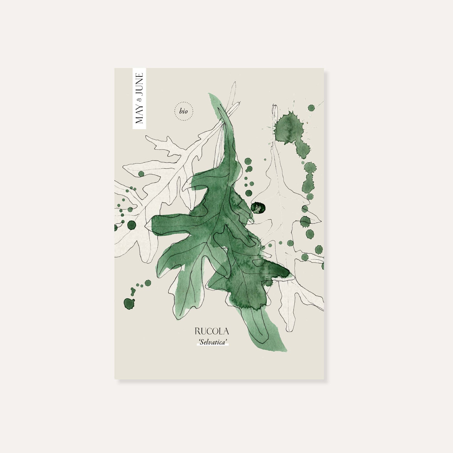 Rucola 'Selvatica' BIO