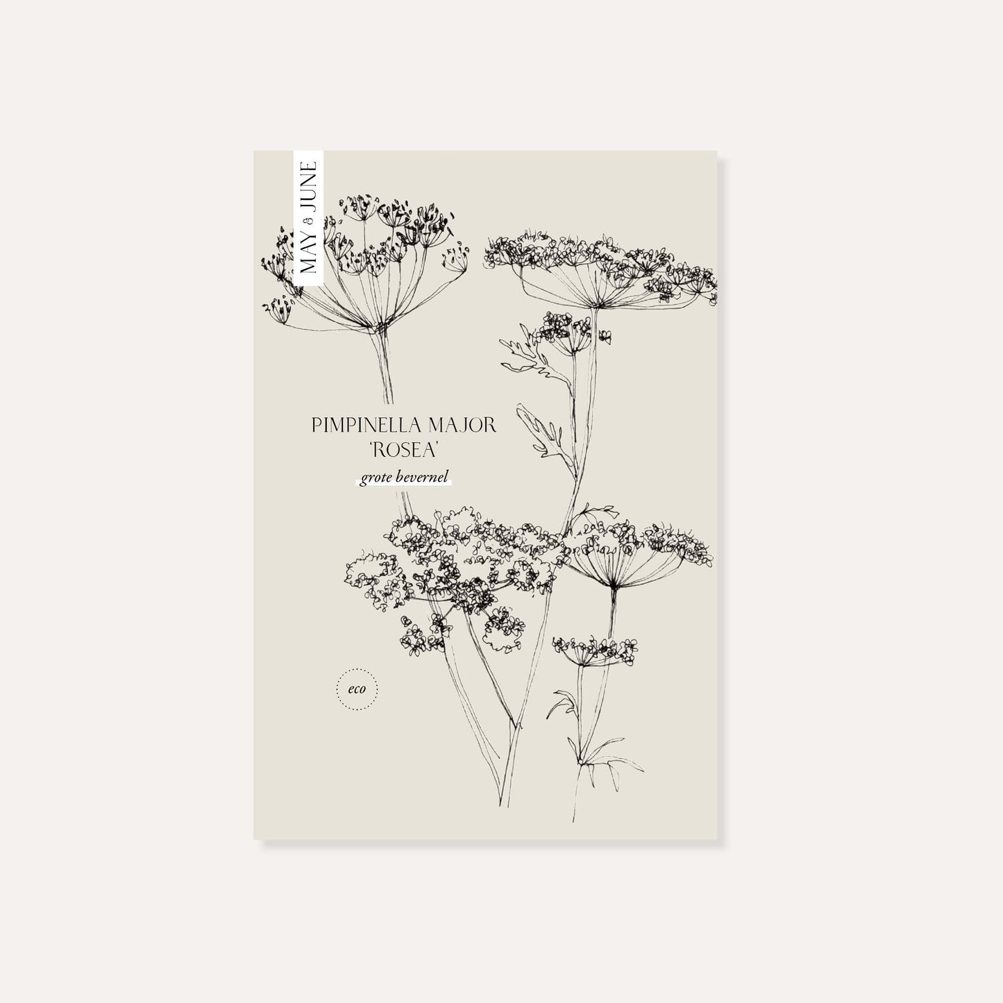 Pimpinella major 'Rosea' (grote bevernel) ECO