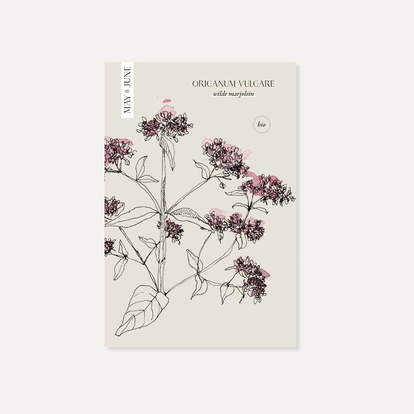 Origanum vulgare (wilde marjolein) BIO