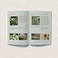 FAVE PLANTS e-book