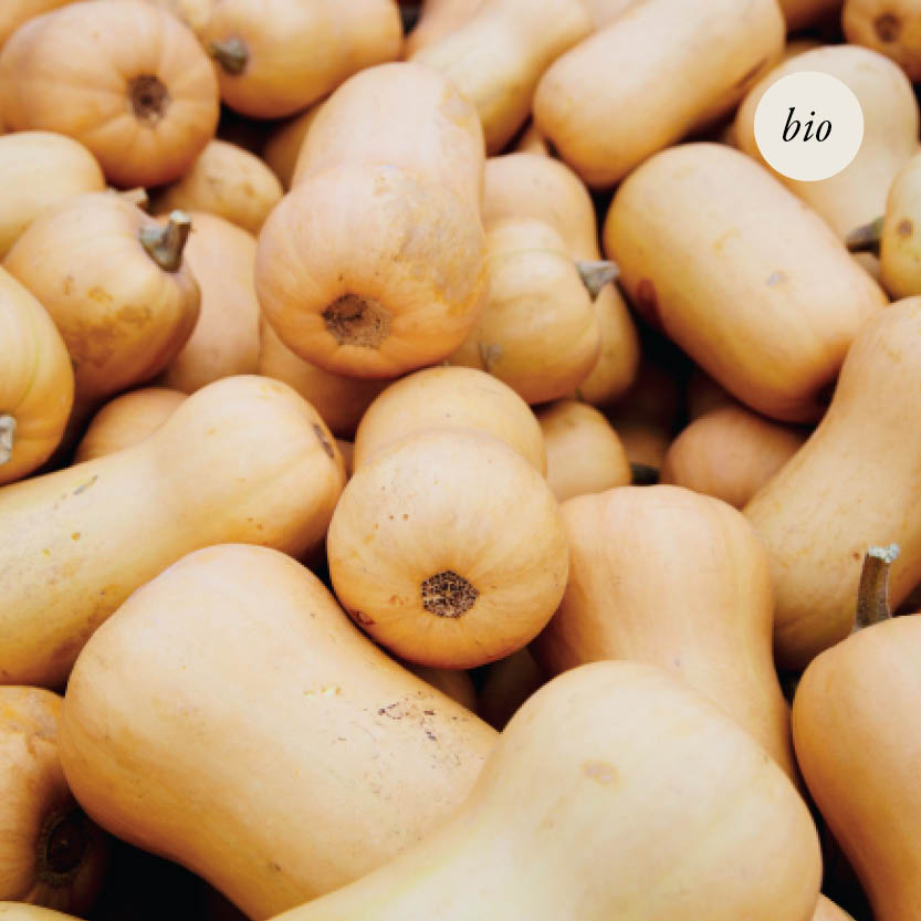 Groentebundel '100% BIO'