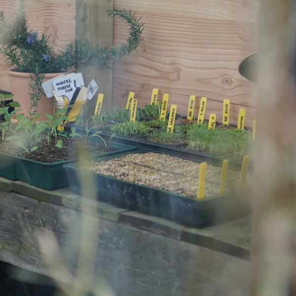 Plantenlabels mix 40 stuks