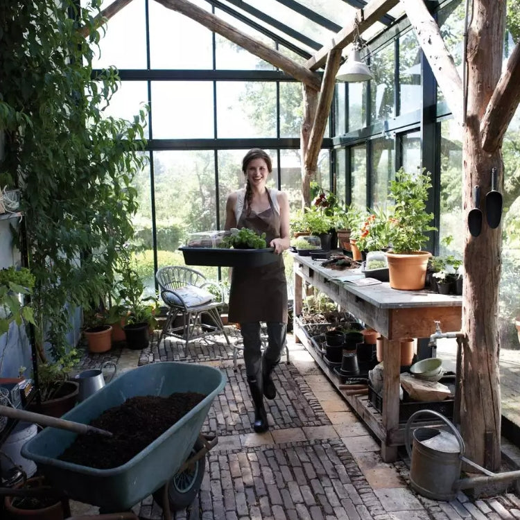 Tuintray