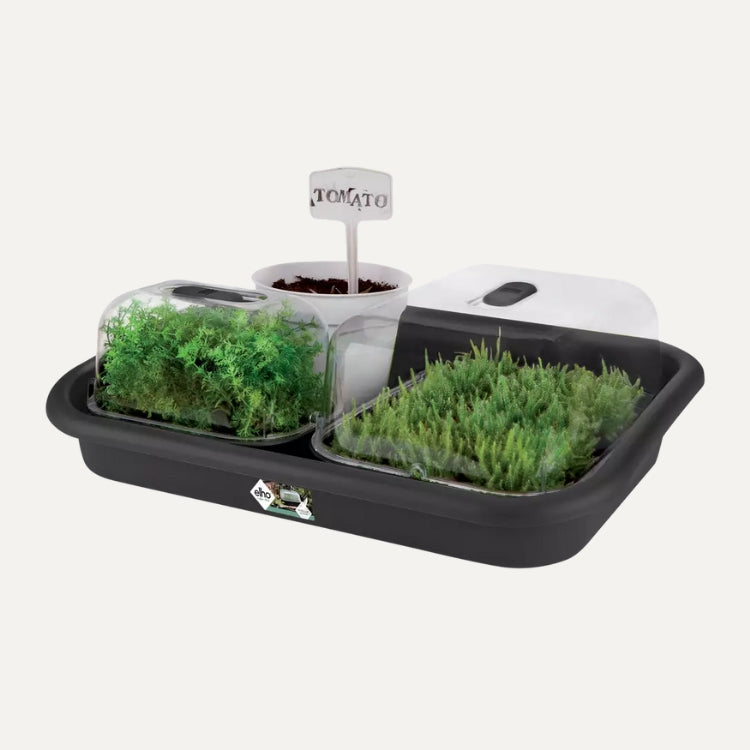 Tuintray