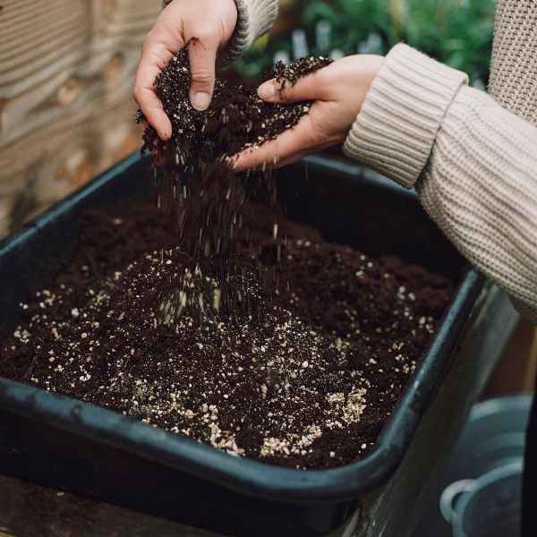 Tuintray
