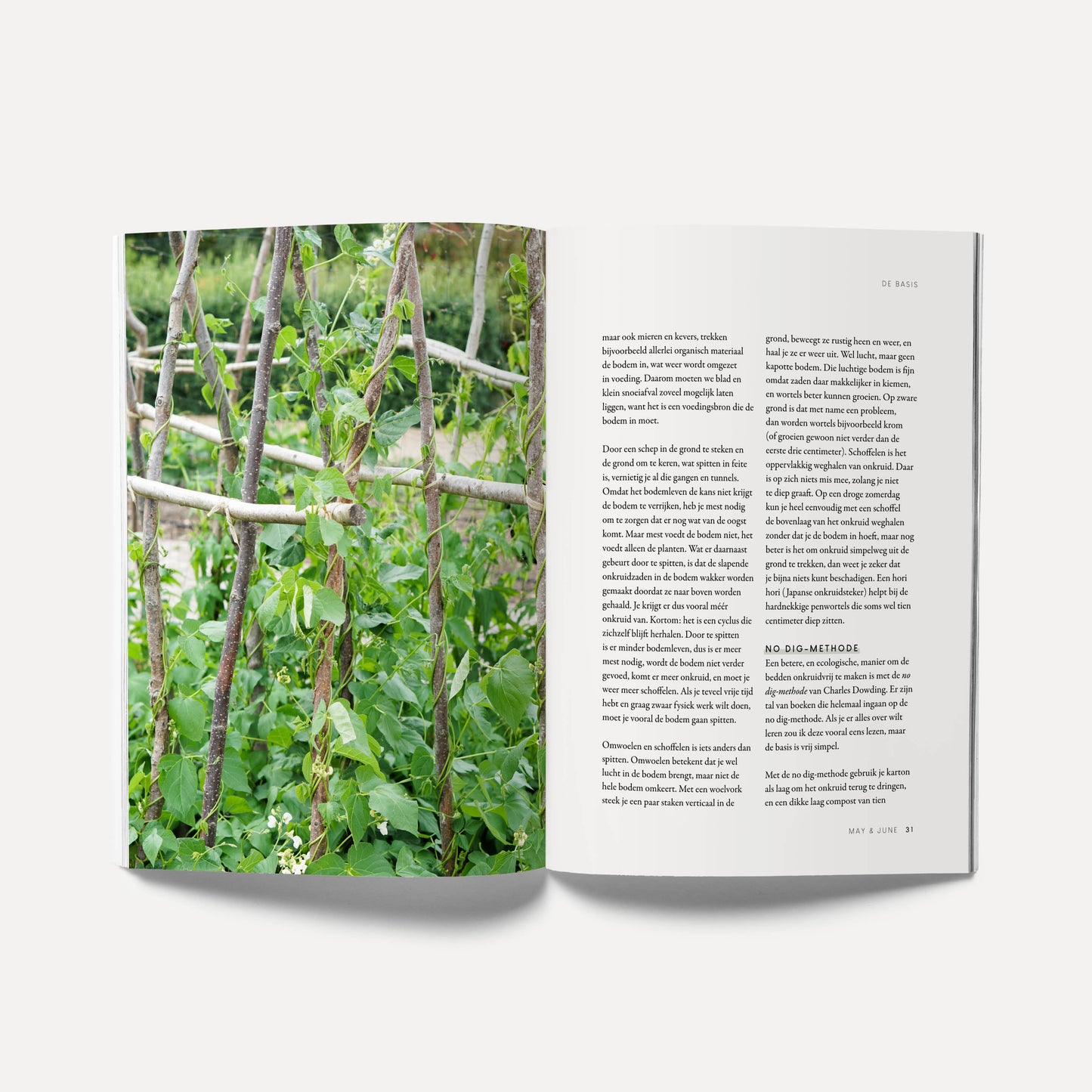Boek 'Zelf Zaaien' - Oogst bloemen en groenten uit eigen tuin