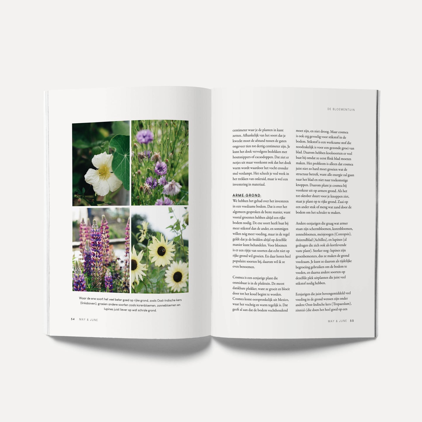 Boek 'Zelf Zaaien' - Oogst bloemen en groenten uit eigen tuin