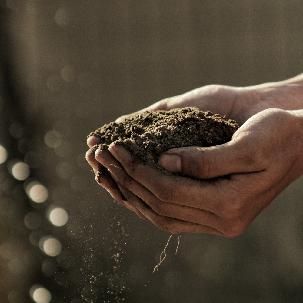 Potgrond, compost, tuinaarde: wat is wat?