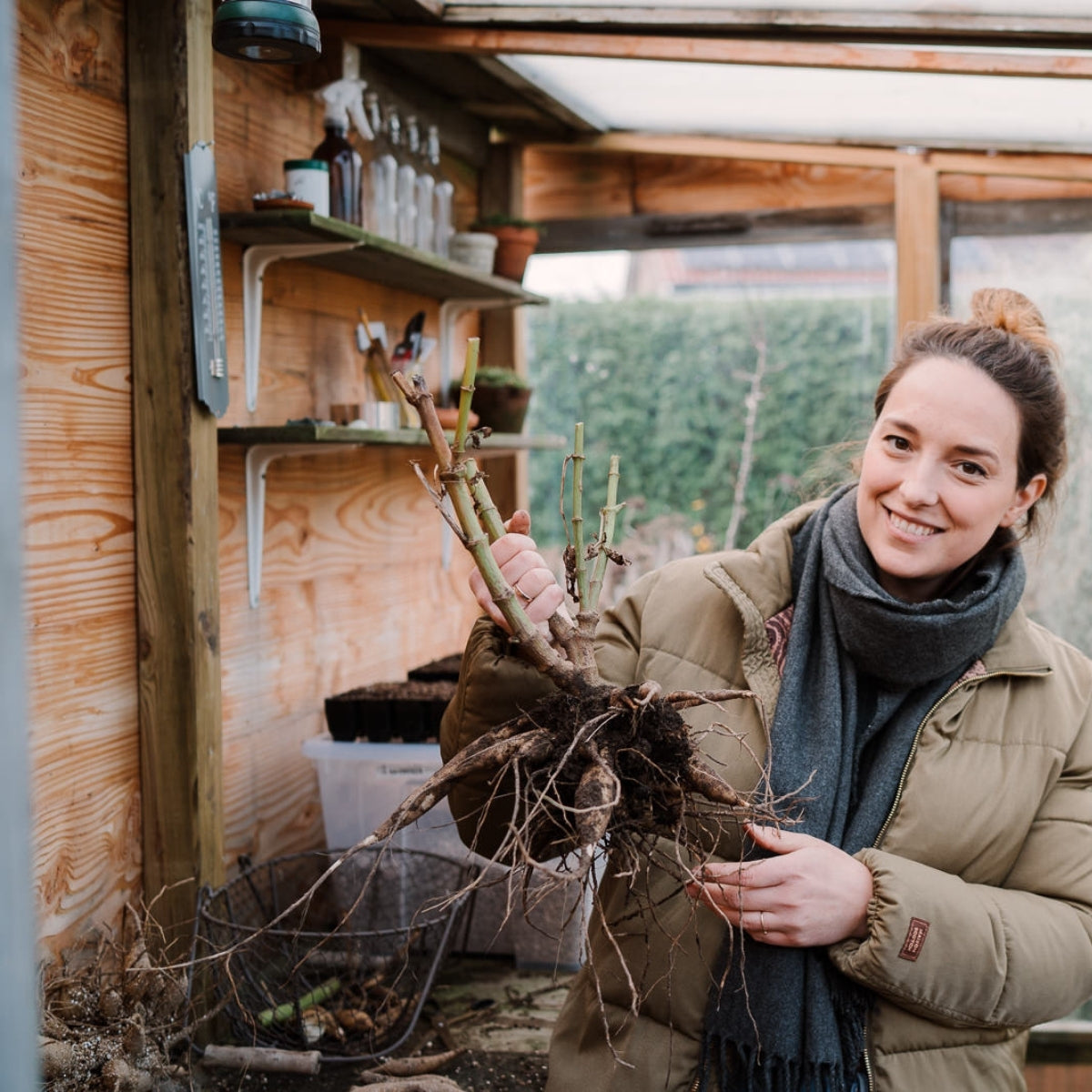 Tuinklusjes in november