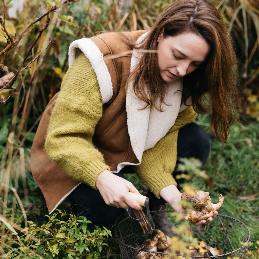 De lente in je bol! Zo plant je bloembollen in de tuin