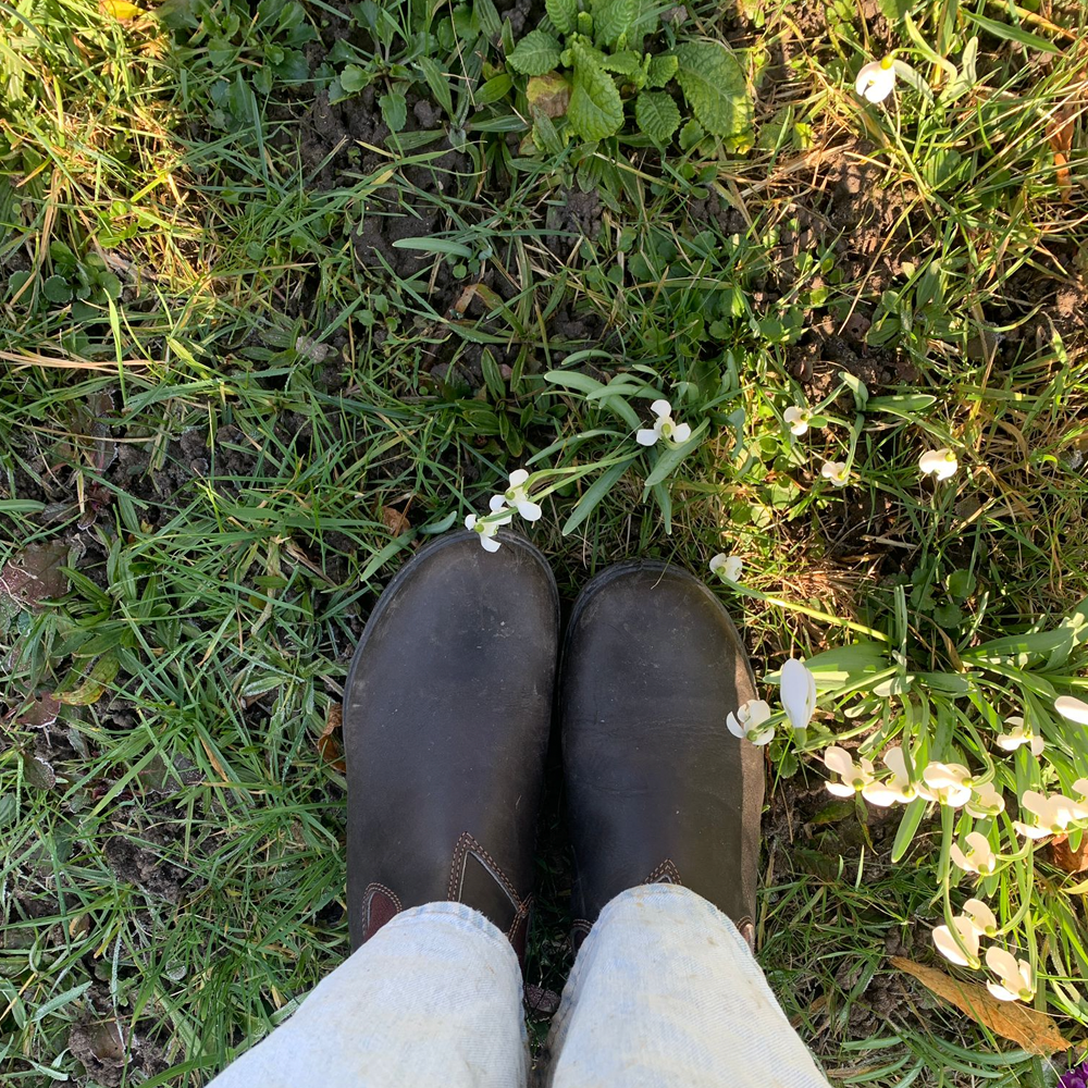 In de tuin met Marie-Louise: Wat te doen in het eerste lentezonnetje