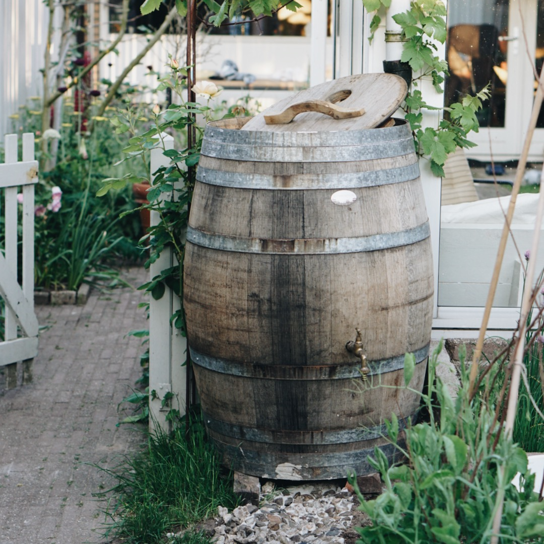 5 duurzame tips voor een ecologische tuin