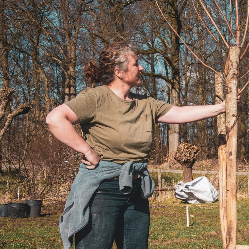 De bodem: het vergeten ecosysteem met Hanneke Hietink