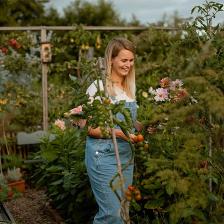 Starten met een moestuin met Loes Knoop