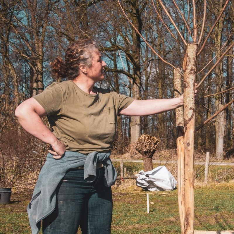 De bodem: het vergeten ecosysteem met Hanneke Hietink
