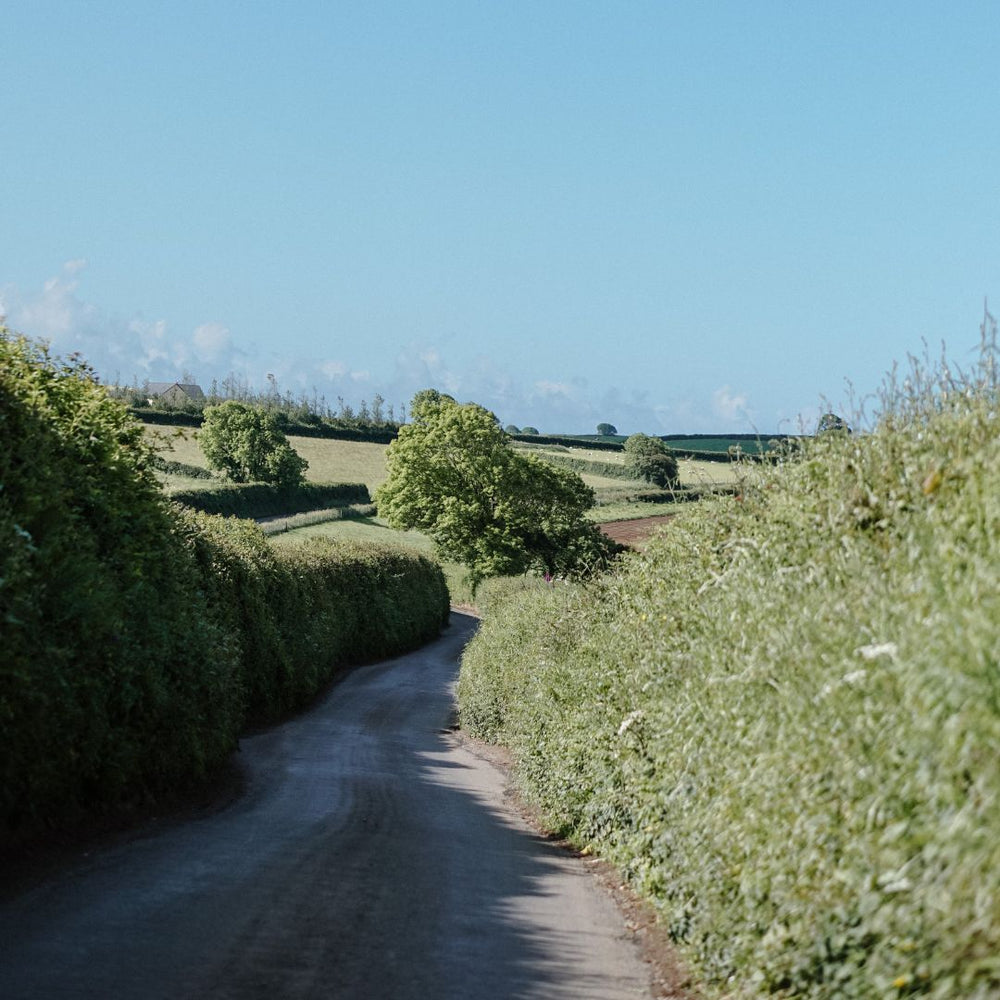 Tuinen om te bezoeken in Engeland: Devon