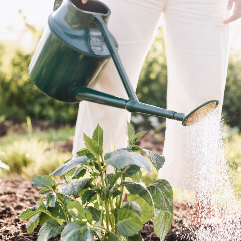 Zo ga je om met droogte in je tuin