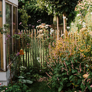 Alle cijfers op een rij: wat kost het aanleggen van een tuin?