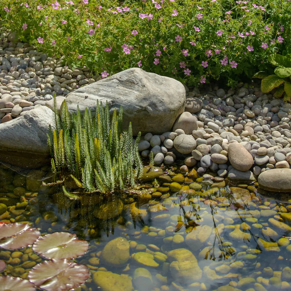 How to: wadi aanleggen