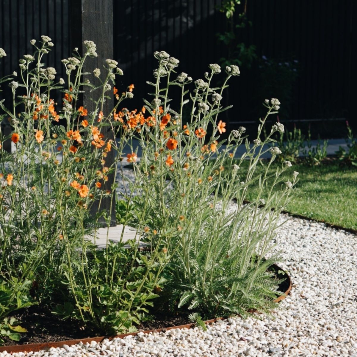 Borderranden: zo kies je het perfecte materiaal