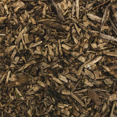 De stille kracht van mulch: waarom je dit juist in de zomer moet doen