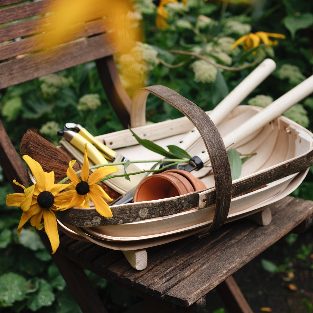 De ultieme beginnersgids: starten met tuinieren in het nieuwe jaar