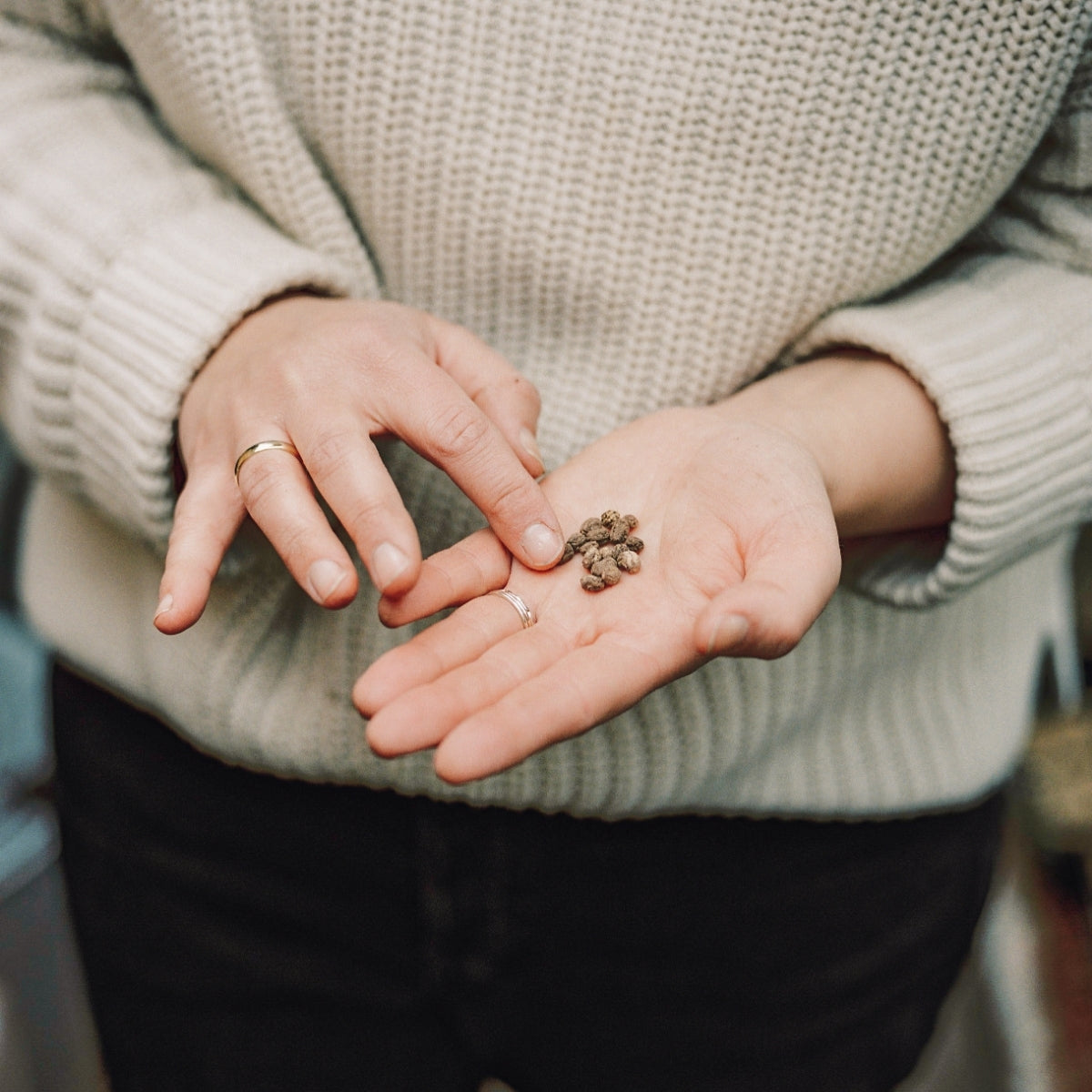Onze zaden blijvend in prijs verlaagd