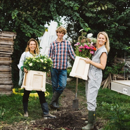 Schone bloemen, het kan gewoon met Wilderful