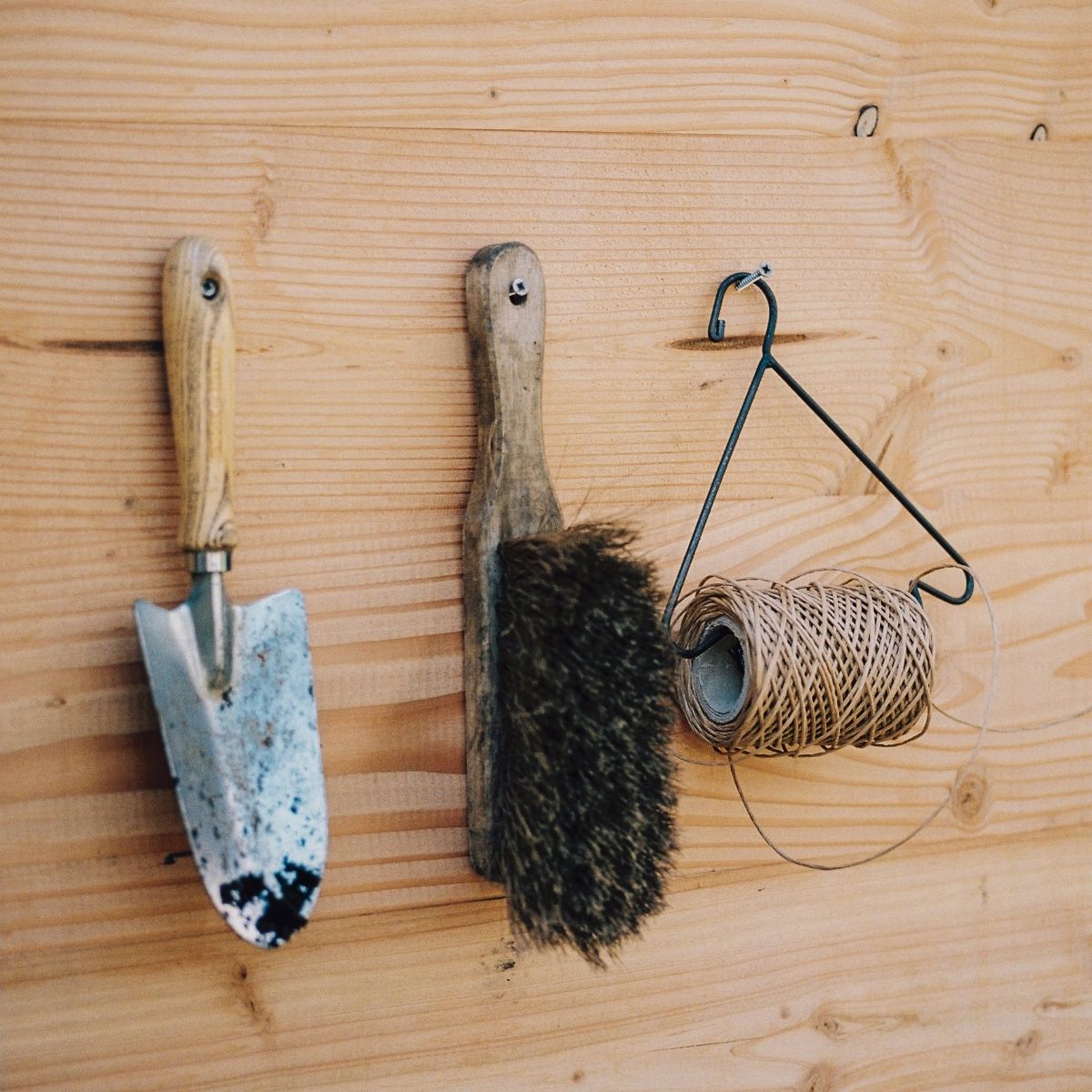 Tuinklusjes in januari