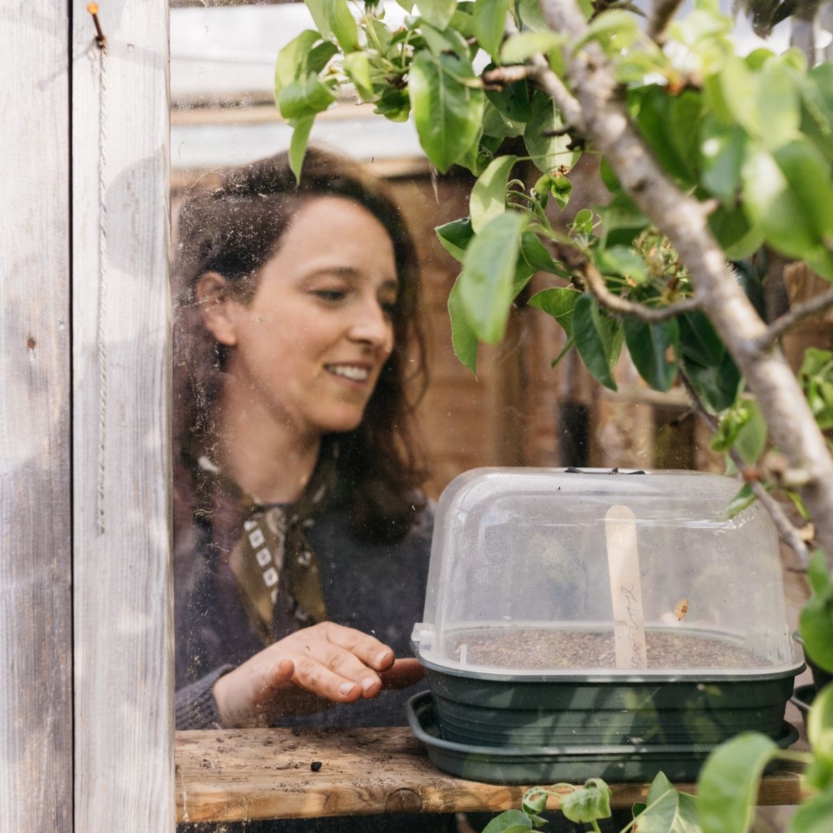 Veelgemaakte fouten bij zaaien (en hoe je ze voorkomt)