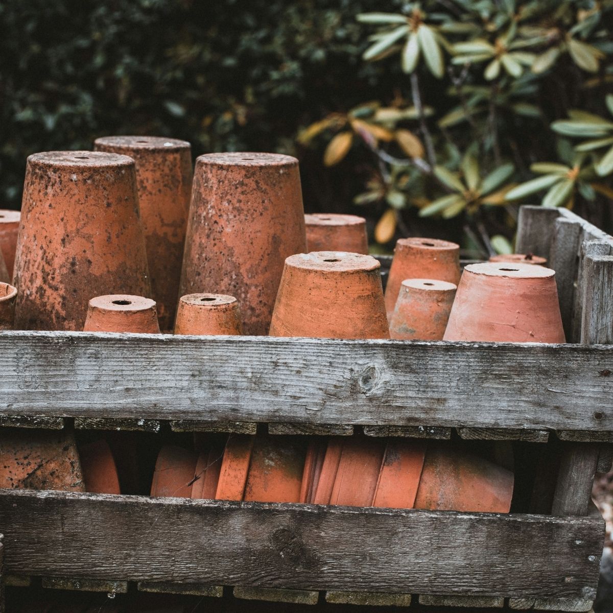 Wat te doen in je tuin in december?