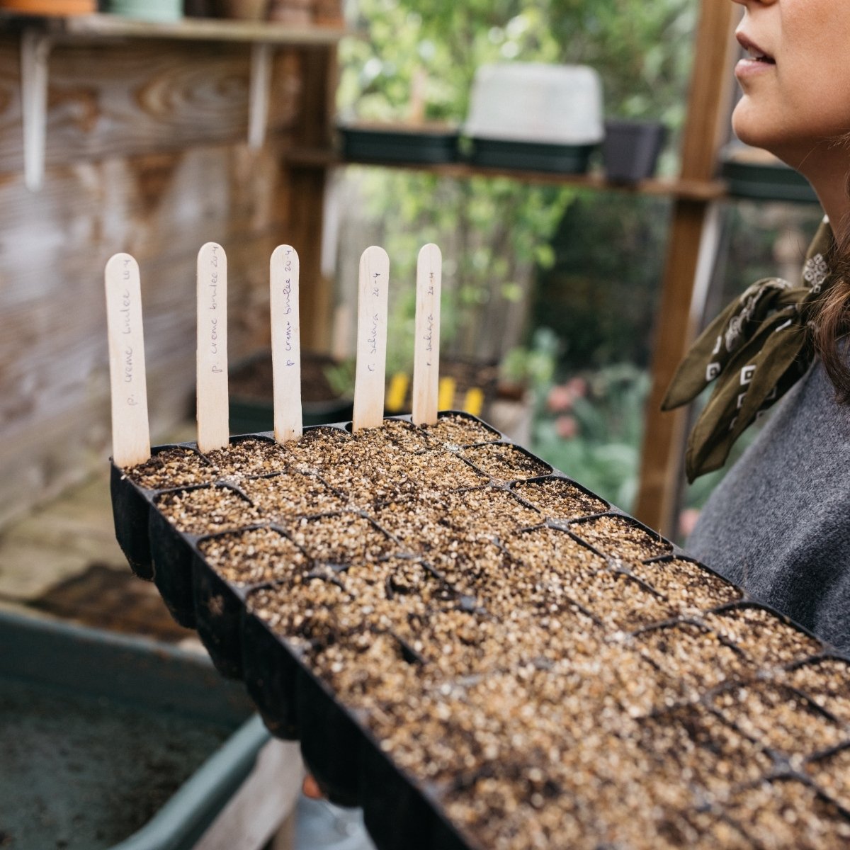 Zaaien in februari: van plannen naar doen