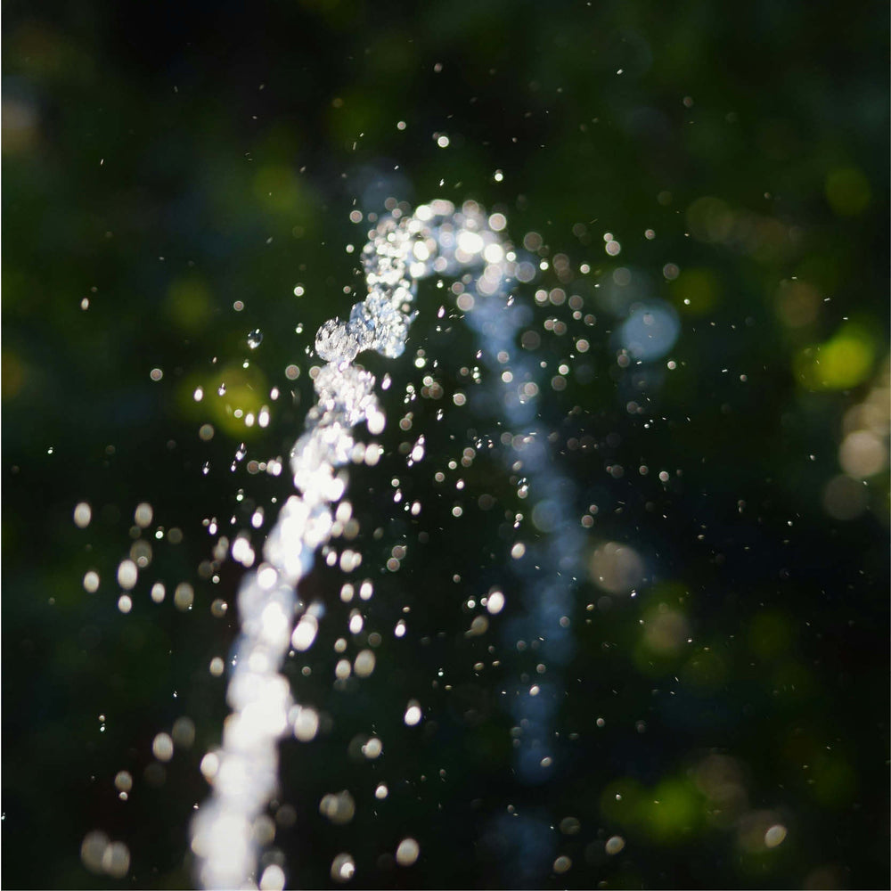 Zo geef je je planten water tijdens een hittegolf