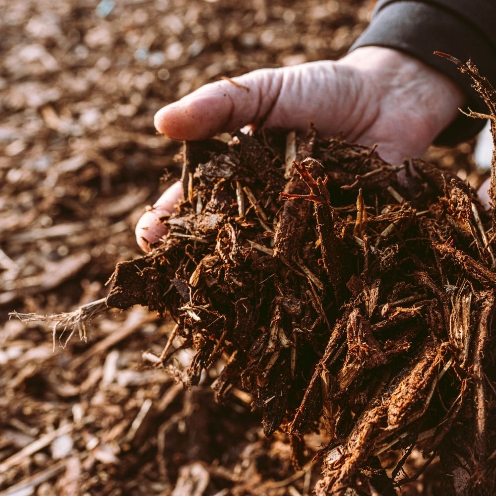 De stille kracht van mulch: waarom je dit juist in de zomer moet doen