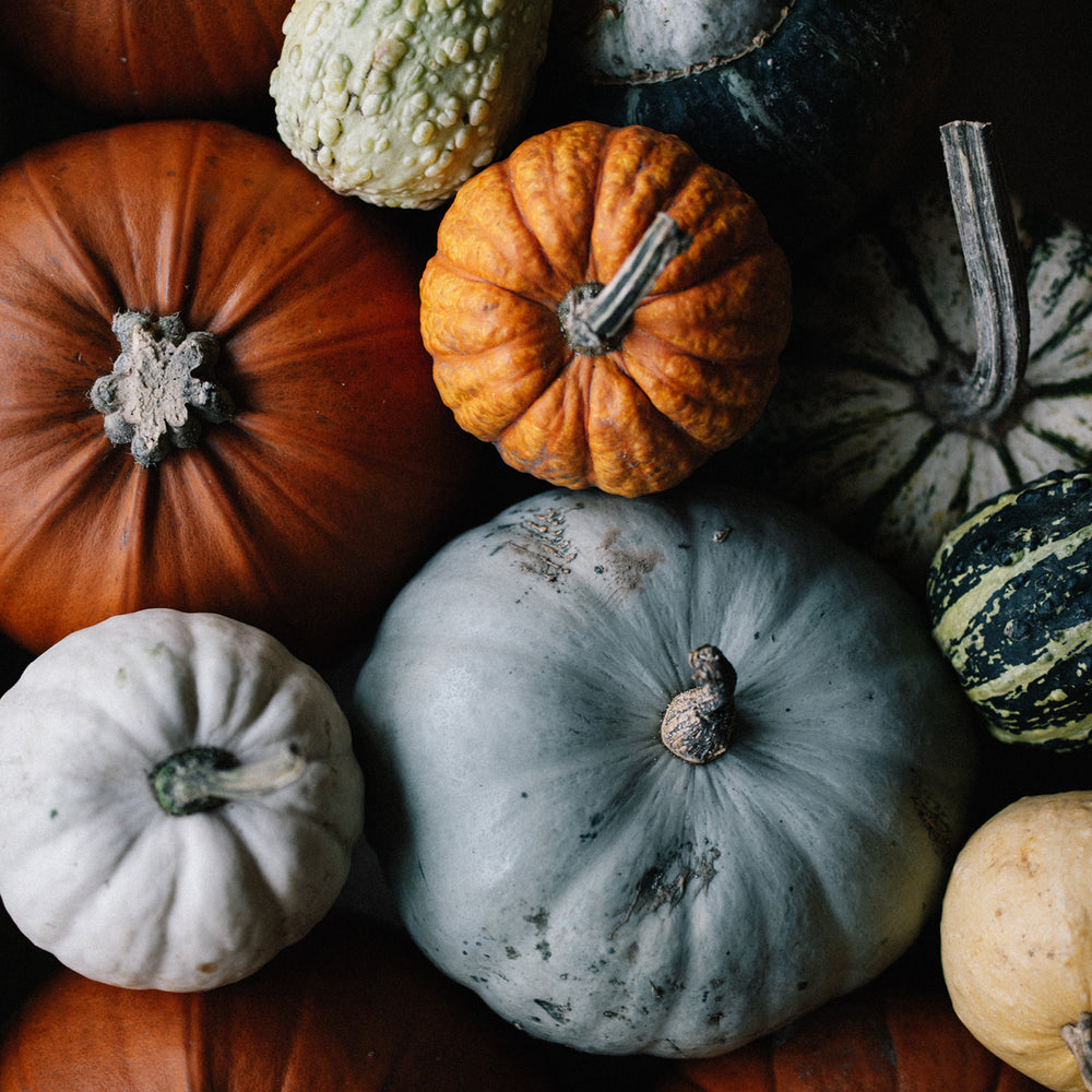 Geen herfst zonder pompoenen