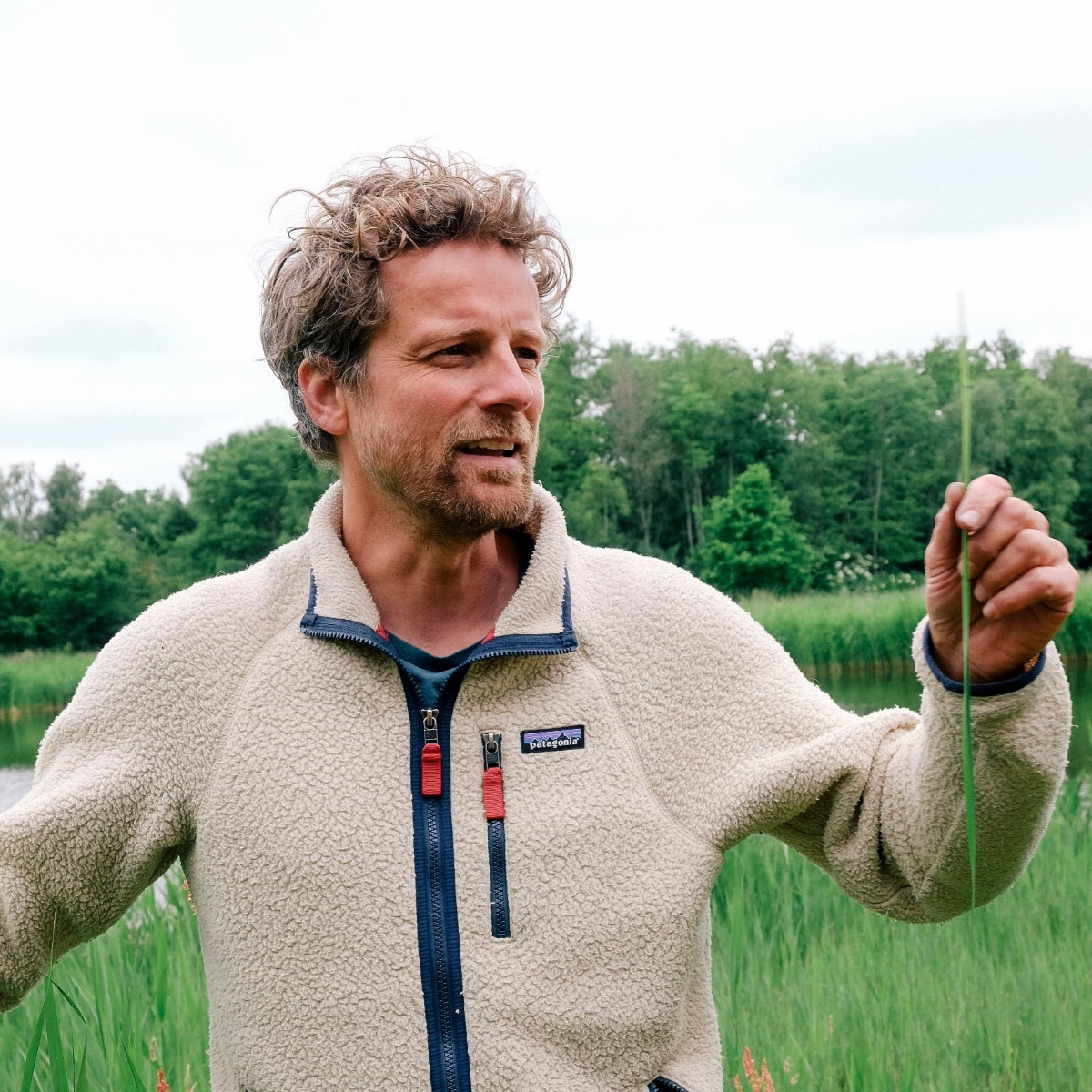 Eetbare natuur in en rondom eigen tuin
