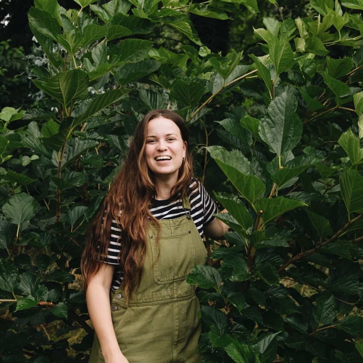 Eetbare vaste planten