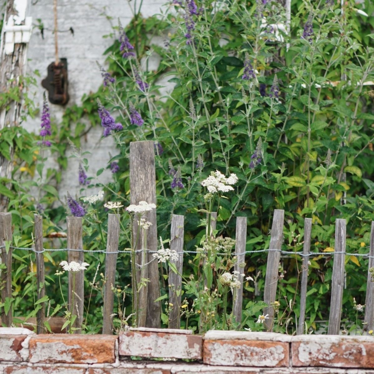 De lat van tuinieren