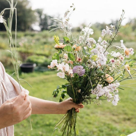 Zomerboeket uit eigen tuin: knip, schik & geniet
