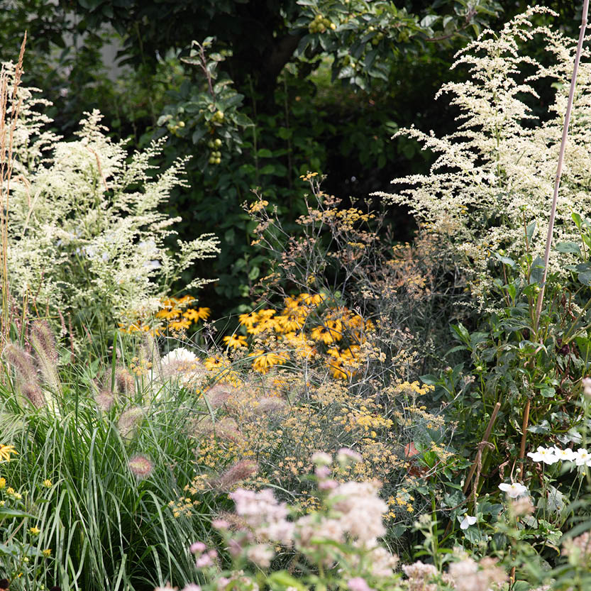 Hoe weet je welke planten het beste in jouw tuin groeien?