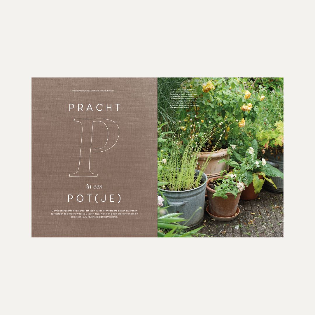 MAY & JUNE magazine #14